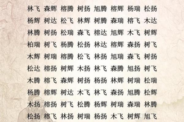 带木字旁的女孩名字-名字大全-姓名学-华易算命网姓名
