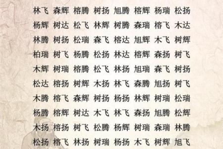 带木字旁的女孩名字-名字大全-姓名学-华易算命网姓名